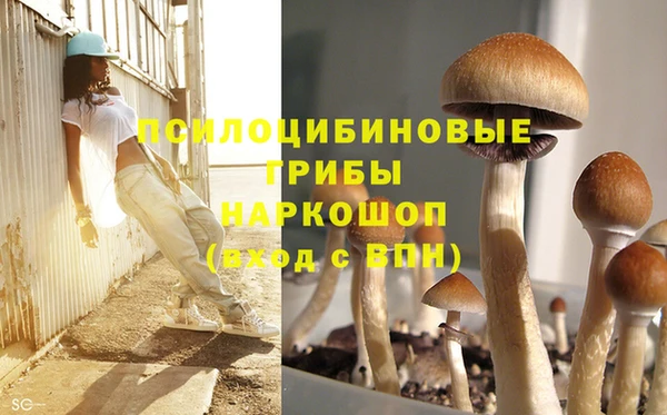 мяу мяу мука Баксан