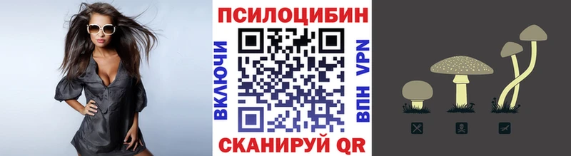 Псилоцибиновые грибы Magic Shrooms  Купить где  Бузулук 